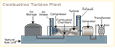 small diagram of fossil plant