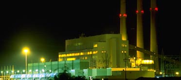 photo of Allen fossil plant 