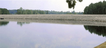 photo of beech dam