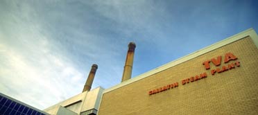 photo of gallatin fossil plant