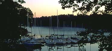 Photo of sailboats at dock on Pickwick Reservoir
