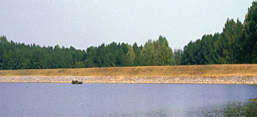 Photo of pin oak dam